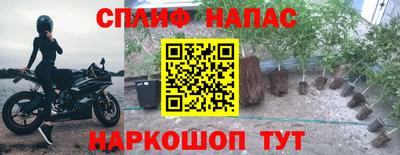 амф Тверь