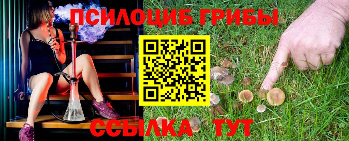 Псилоцибиновые грибы MAGIC MUSHROOMS  Вход с VPN  Балашиха 