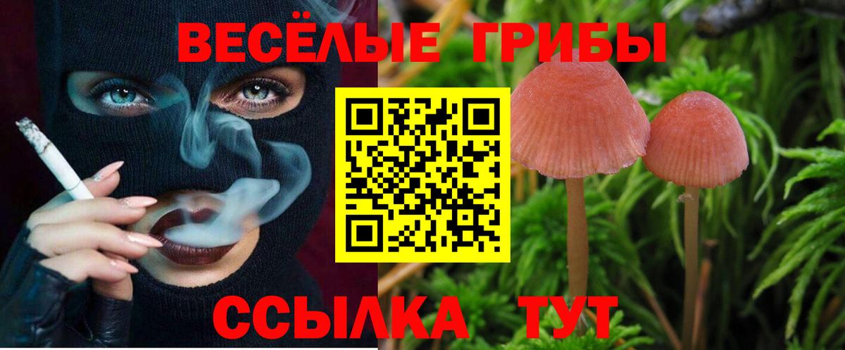 Псилоцибиновые грибы GOLDEN TEACHER Балашиха